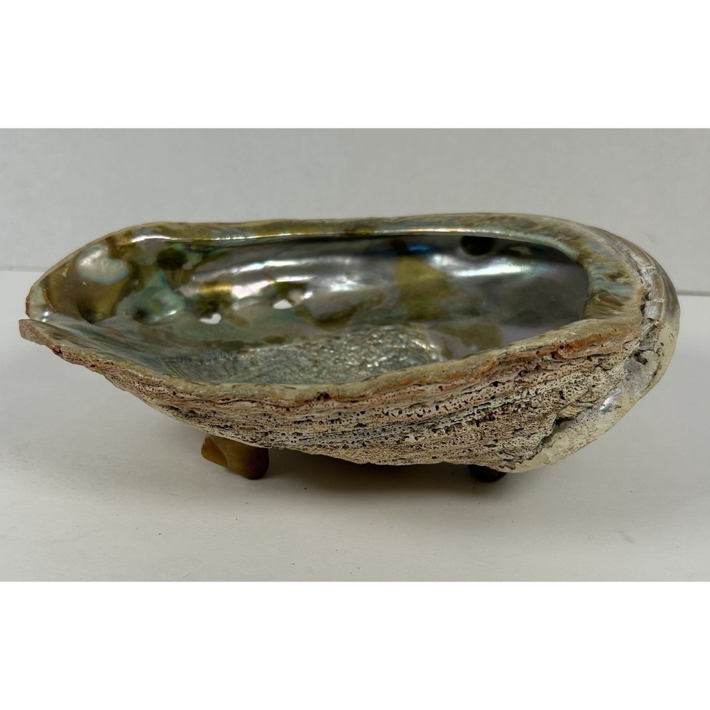 Vintage Natural Abalone Shell Footed Soap Dish Trinket Dish 8" iridescent
